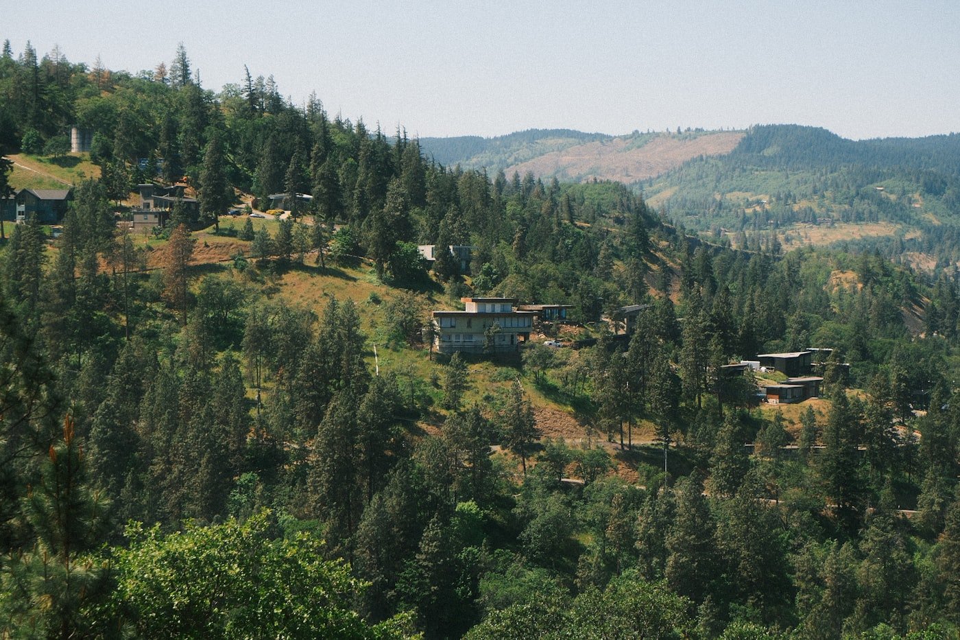 Modern homes on a forested hillside
